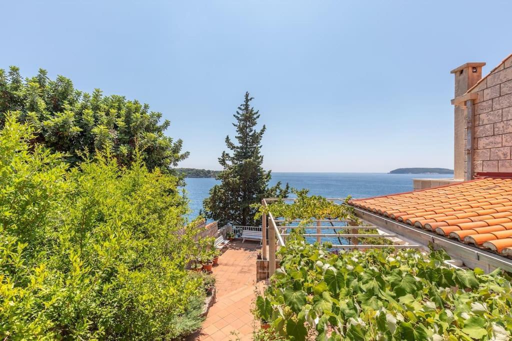 Vila Jana Villa Dubrovnik Luaran gambar