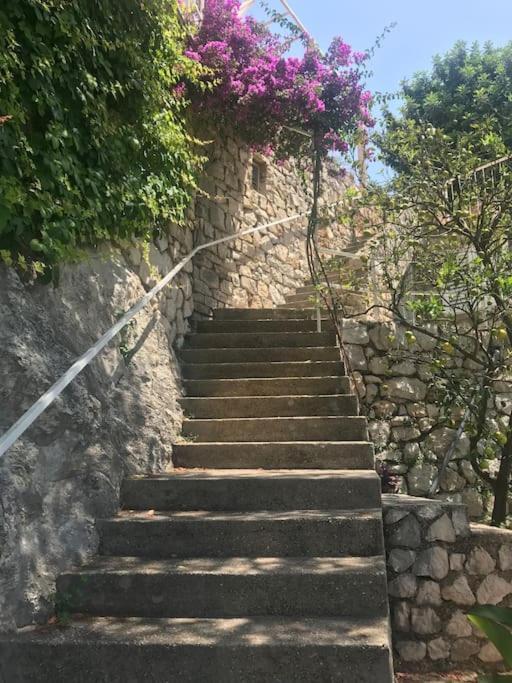 Vila Jana Villa Dubrovnik Luaran gambar