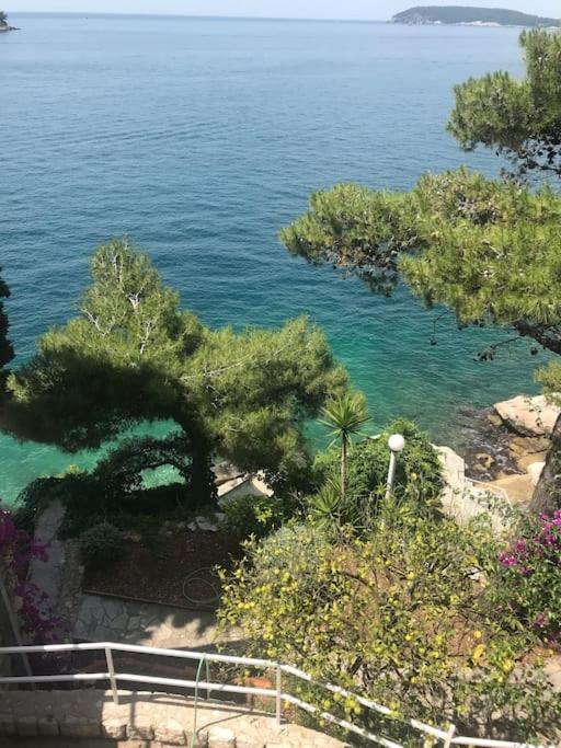 Vila Jana Villa Dubrovnik Luaran gambar